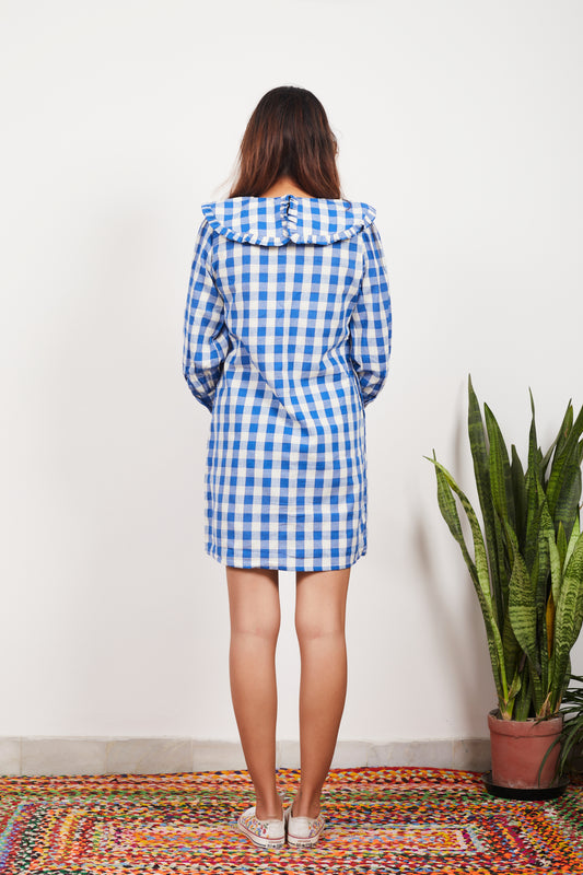 Blue Gingham Dress