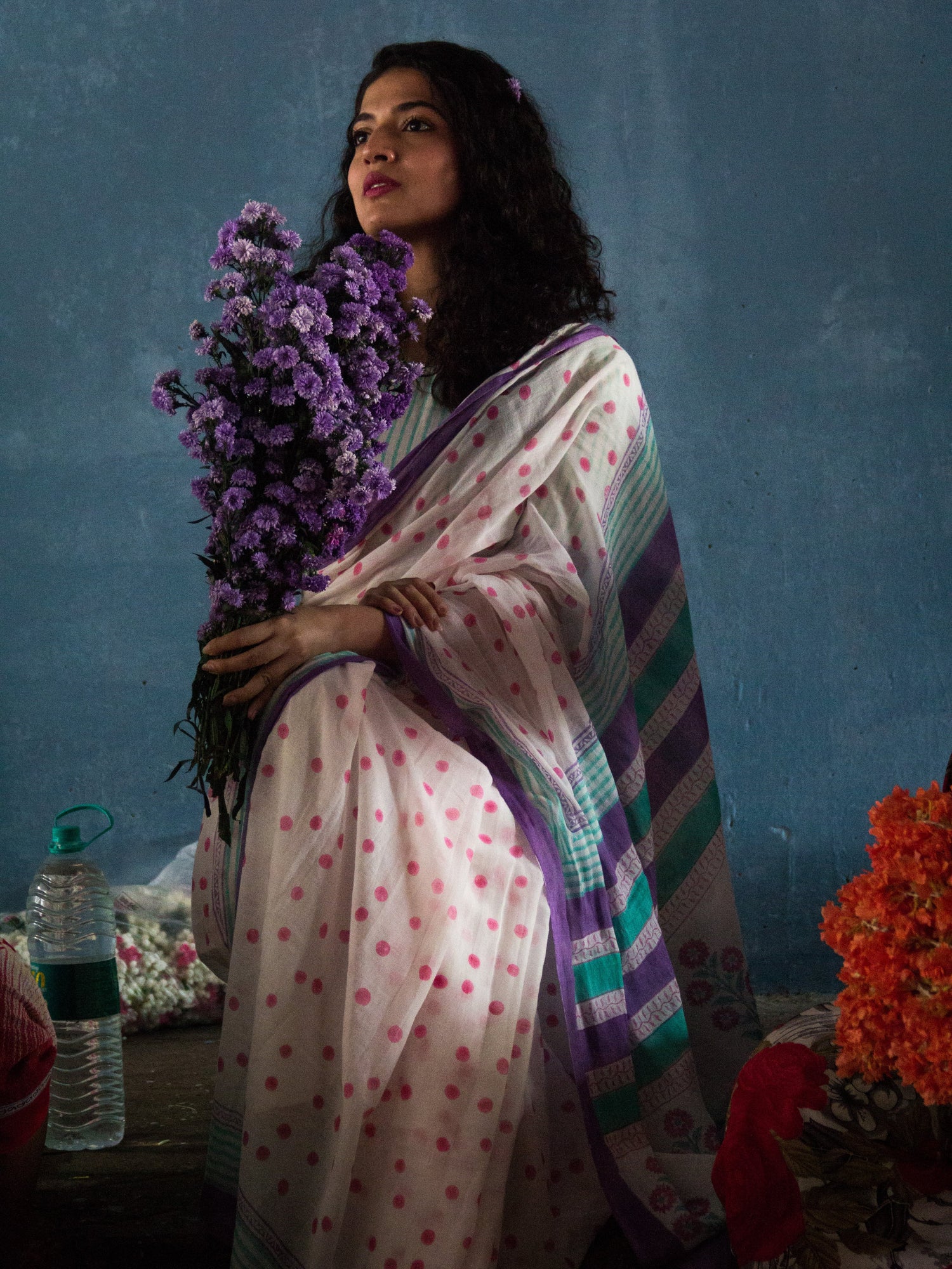 Godana Rusty : Hand painted tribal saree – Baragaon Weaves